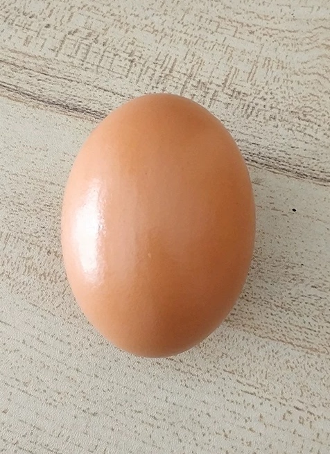 木头鸡蛋