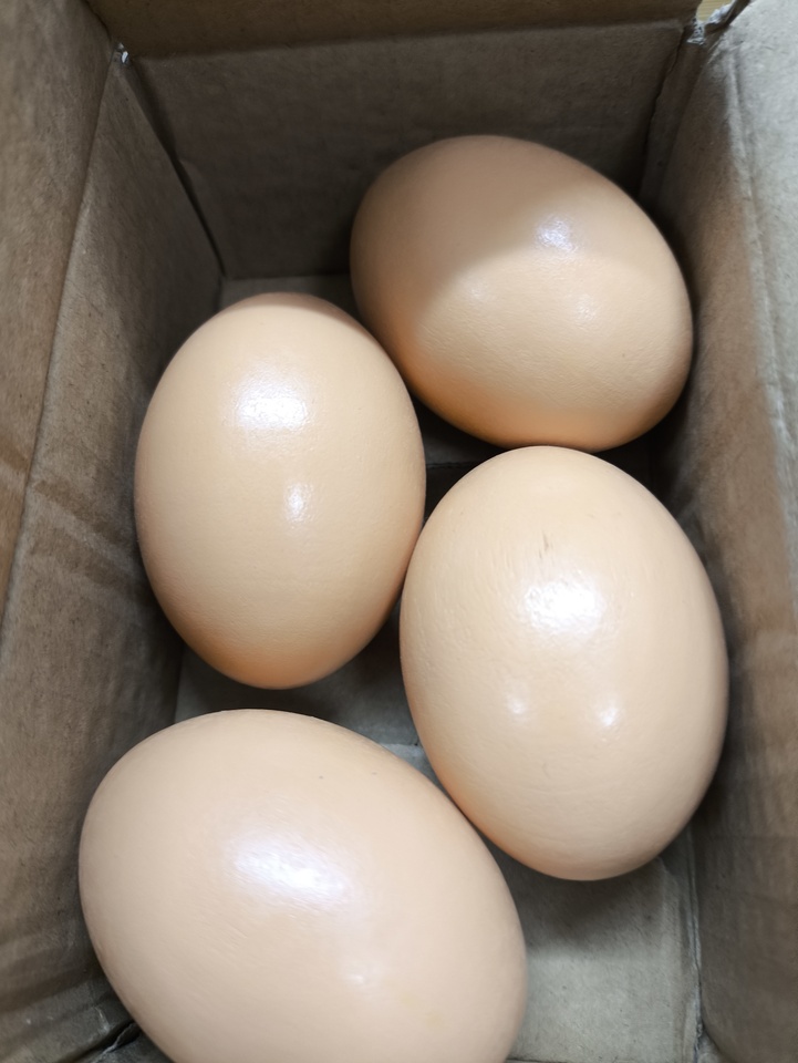 实心木头鸡蛋摆件